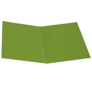 Cartellina semplice - 200...