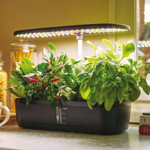 Orto idroponico indoor - 20 x 18 x 40...