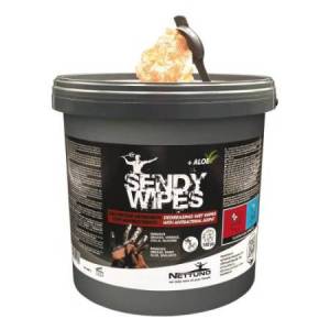 Salviette umidificate Sandy...