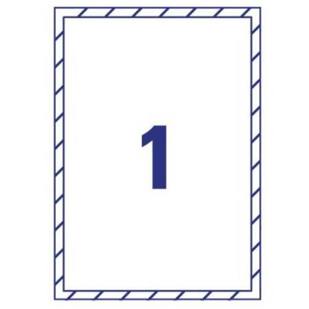 Etichette adesive per finestre - in carta - con pellicola - laser - rimovibili - 210 x 297 mm - 1et/fg - 10 fogli - bianco - Ave