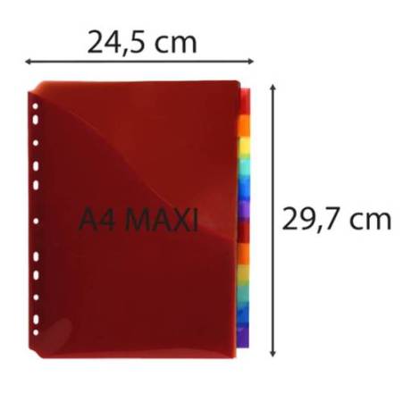 Divisori neutri a 12 tacche - PP - A4 maxi - con portaetichetta - colori assortiti - Exacompta