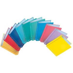 Raccoglitore Monocromo - 4...