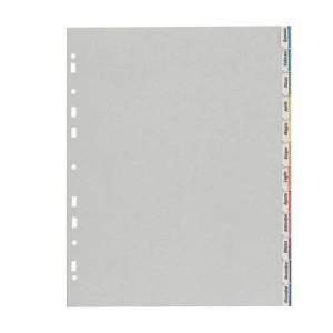 Separatore - 12 tacche...