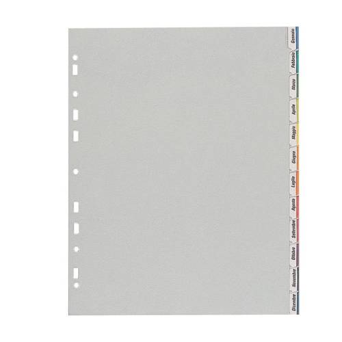 Separatore - 12 tacche...