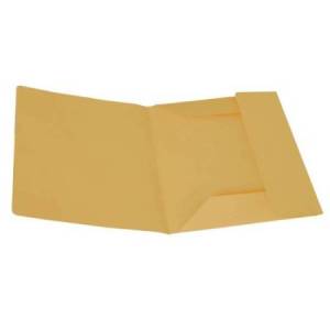 Cartelline 3 lembi - senza...