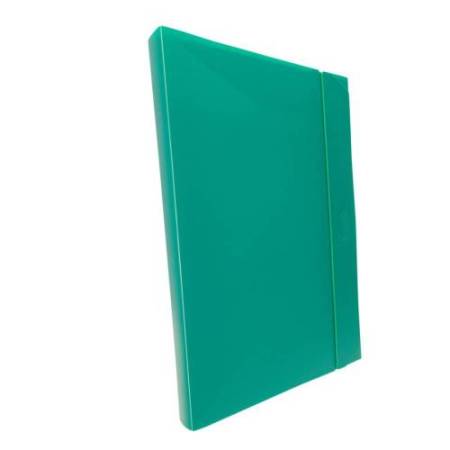 Cartella progetto con elastico - 24x35 cm - dorso 3 cm - verde - Fellowes