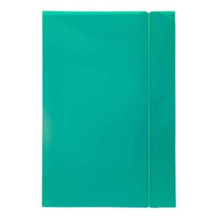 Cartella progetto con elastico - 24x35 cm - dorso 3 cm - verde - Fellowes