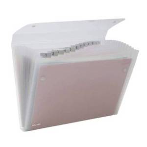 Cartella a soffietto Ice -...