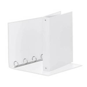 Raccoglitore Meeting - 4...