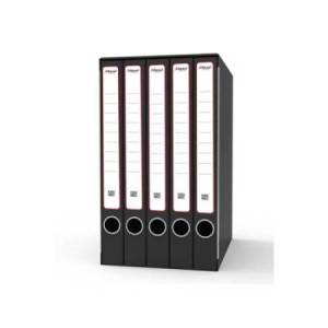 Gruppo registratori...