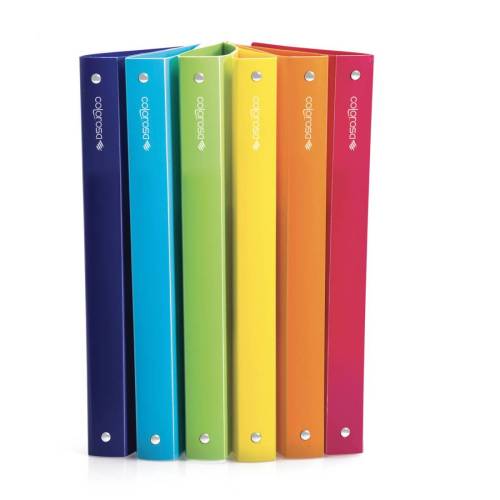 Raccoglitore 4R - 245x307 mm -...