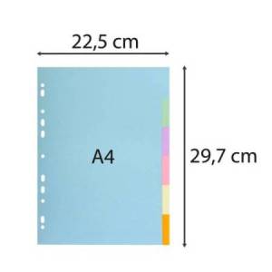 Separatore Forever - A4 - 6... 2