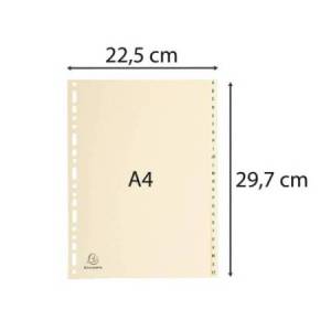 Separatori - 24 tasti A-Z -... 2