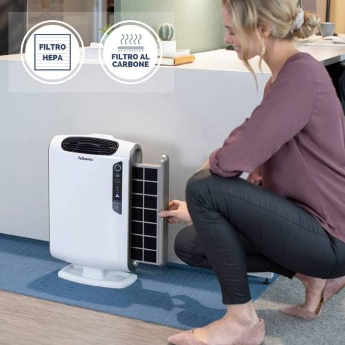 Purificatore d'aria AERAMAX DX-55 da...