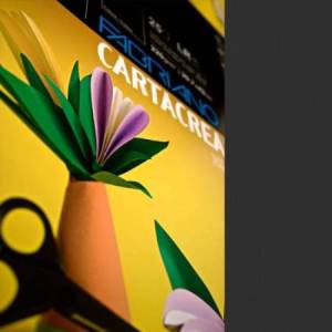 Cartoncino CartaCrea -...