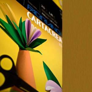 Cartoncino CartaCrea -...