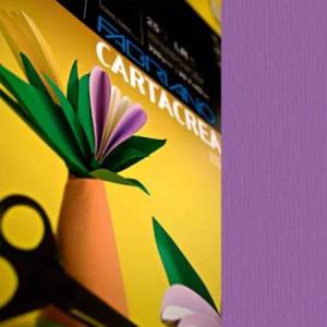 Cartoncino CartaCrea -...