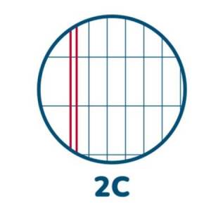 Maxiquaderno Color 80 Basic... 2