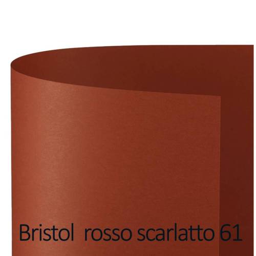 Cartoncino Bristol Color - 50 x 70 cm...