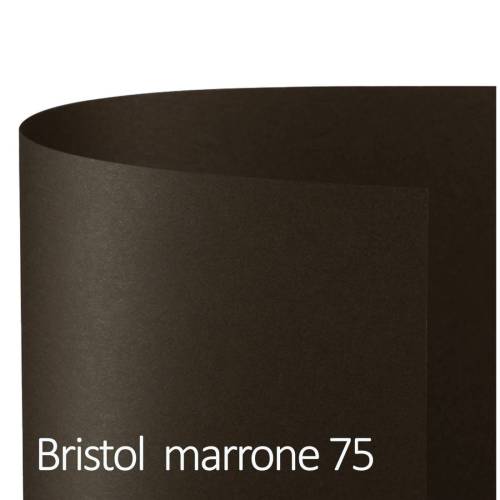 Cartoncino Bristol Color - 70 x 100...