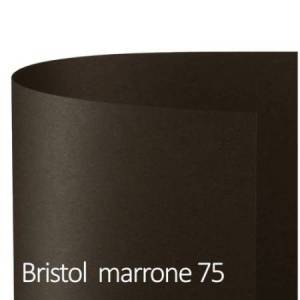 Cartoncino Bristol Color -...