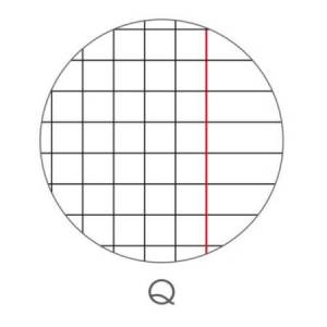 Maxiquaderno Sport fantasia... 2