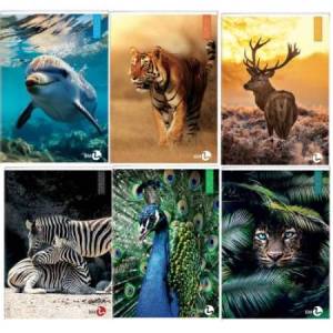 Maxiquaderno Animal...