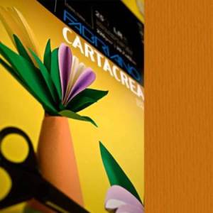 Cartoncino CartaCrea -...