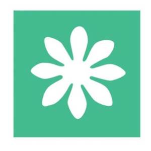 Fustella - motivo... 2