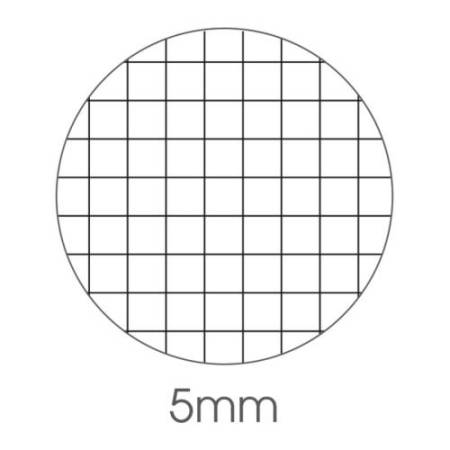 Ricambi c/rinforzo ecologico - A4 - 100 gr - 40 fg - 5 mm - Favini