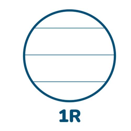 Maxiquaderno Monocromo Green Pigna -...