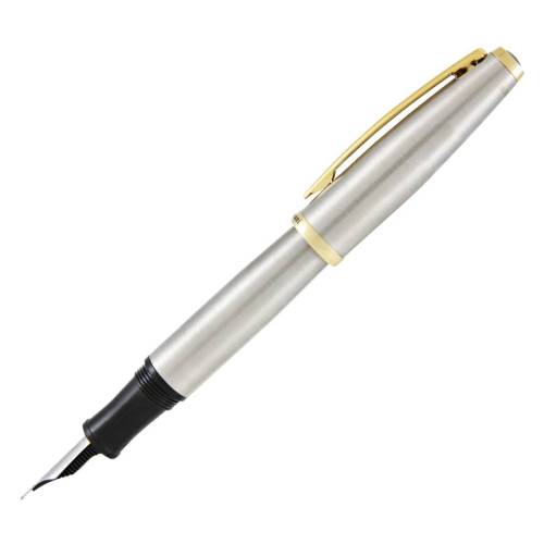 Penna stilografica Aldo Domani -...