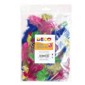 Piume tropicali -...