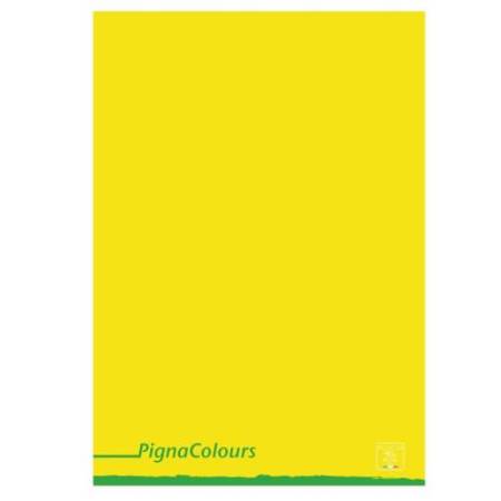 Maxiquaderno Pigna Colours - A4 - 5 mm - 42 fogli - 80 gr - Pigna