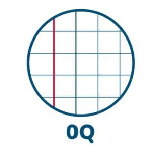 Maxiquaderno assortimento... 2