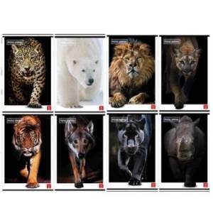 Maxiquaderno Animal - A4 -...