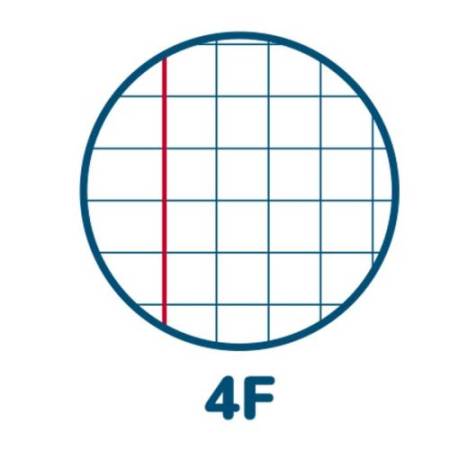 Maxiquaderno Animal - A4 - 4 mm - c/margine - 42 fogli - 80 gr - Pigna