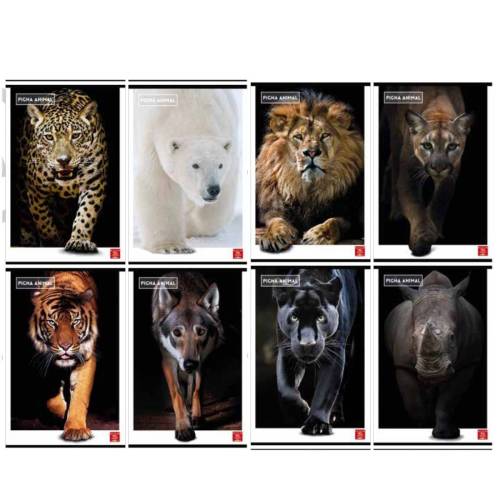 Maxiquaderno Animal - A4 - 10 mm - 42...