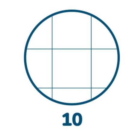 Maxiquaderno Animal - A4 - 10 mm - 42 fogli - 80 gr - Pigna