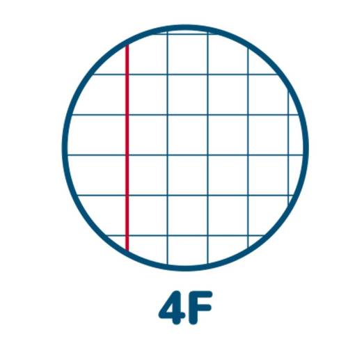 Maxiquaderno Sport - A4 - 4 mm -...