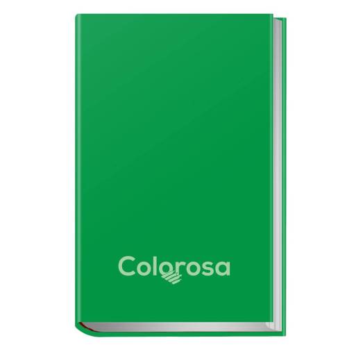 Diario - 12 mesi - copertina rigida...