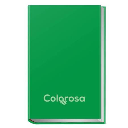 Diario - 12 mesi - copertina rigida antigraffio - colori assortiti - Colorosa