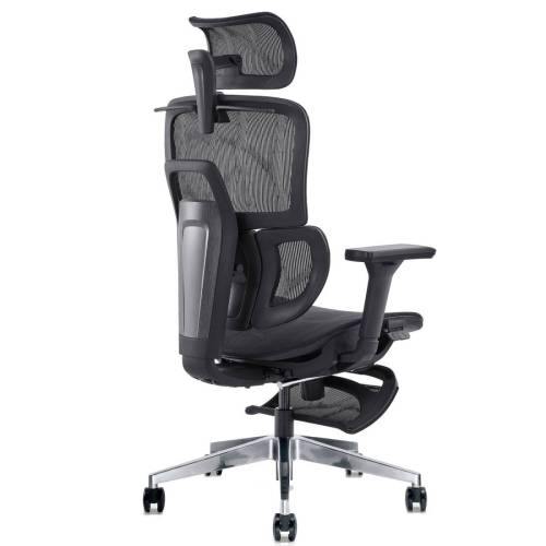 Seduta ergonomica - con braccioli...