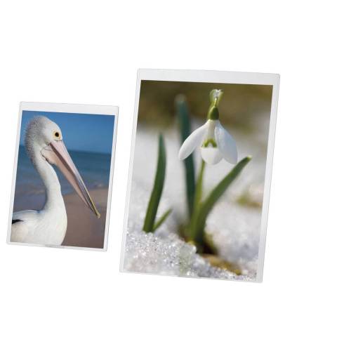 Portadepliant A3 - PVC semirigido -...