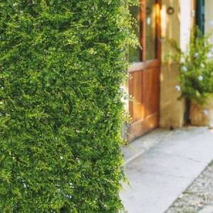 Siepe sintetica Amazzonia... 2