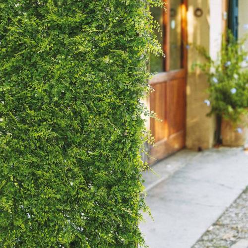 Siepe sintetica Amazzonia Verdecor -...