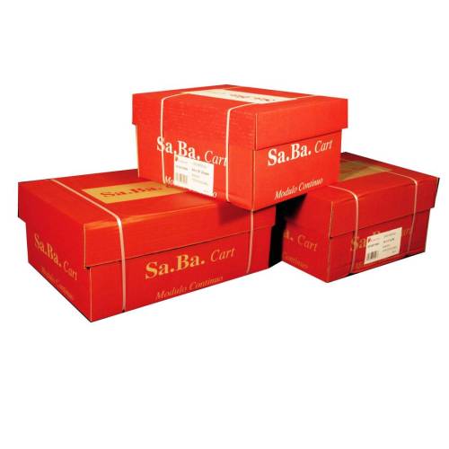 Carta in modulo continuo - 24 x 11" -...