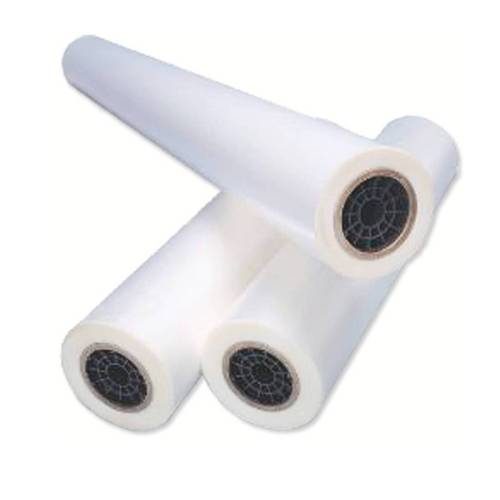 Pellicola lucida Nap2 per...