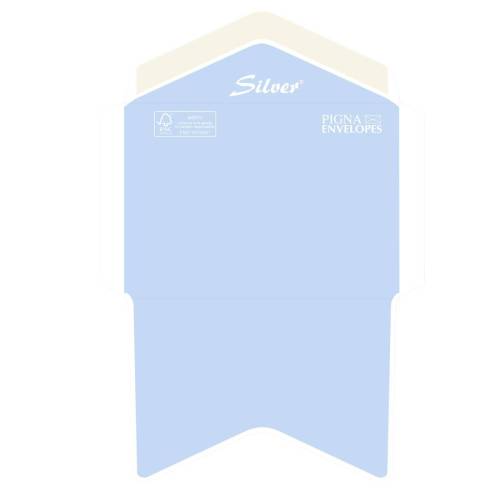 Busta Busta Silver FSC - senza...