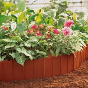 Bordo ornamentale -...